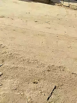 Snapshot of Monster_Bigdick chatting on December 8, 3:50 am Monster Bigdick online show from December 8, 3:50 am