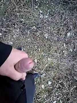 Picknick84 online show from March 21, 5:23 pm