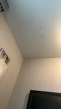 Phattpinktaco online show from February 26, 7:21 pm