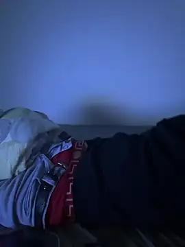 Snapshot of HornyBoyTim chatting on January 18, 4:04 am HornyBoyTim online show from January 18, 4:04 am