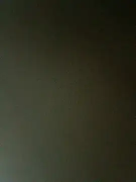 fieltoprj1 online show from February 27, 1:06 am