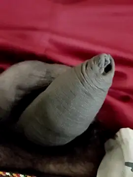 Snapshot of Ashish02345 chatting on January 24, 8:22 pm Ashish02345 online show from January 24, 8:22 pm