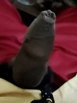 Snapshot of Ashish02345 chatting on December 6, 6:44 pm Ashish02345 online show from December 6, 6:44 pm