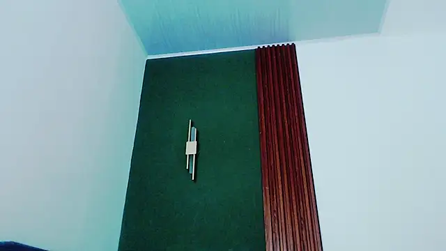 jean sneider online show from October 12, 11:11 am