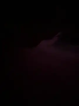 Nosleeptapoutvol1xxx online show from December 15, 1:11 am