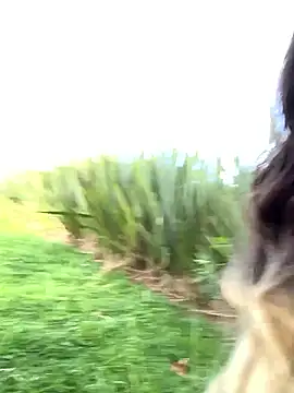 Enyeld ruru online show from March 14, 9:54 pm