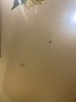 Snapshot of MEOW_MEO chatting on December 20, 4:10 pm MEOW MEO online show from December 20, 4:10 pm