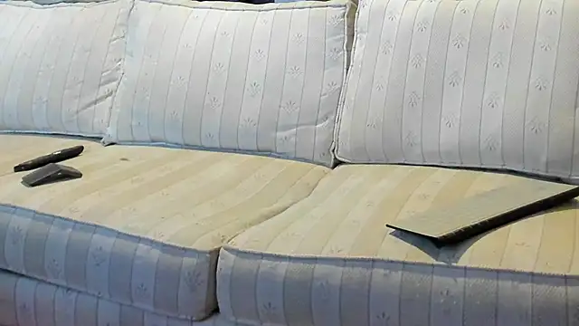 jayshort786 online show from September 15, 3:01 pm