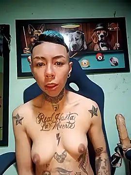 real fenix online show from November 4, 1:15 pm