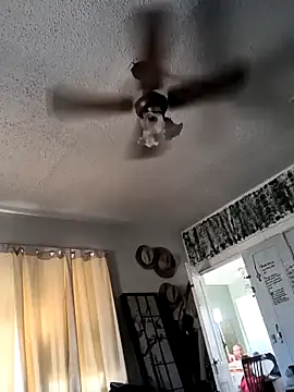 Snapshot of TexaSMESS_37 chatting on February 27, 9:58 pm TexaSMESS 37 online show from February 27, 9:58 pm