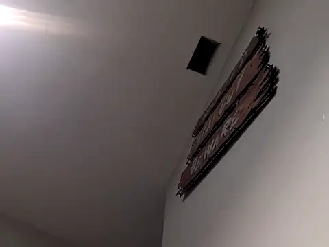 Dogz n daugthers online show from December 3, 8:00 am