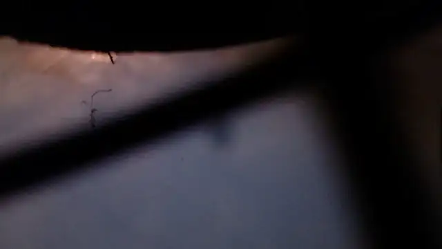 Cordt30 online show from February 12, 4:40 pm