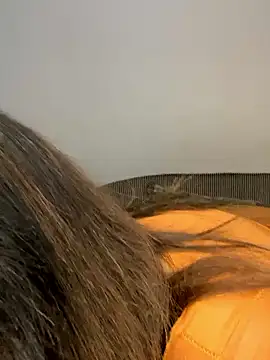 Amandious online show from April 16, 4:13 am