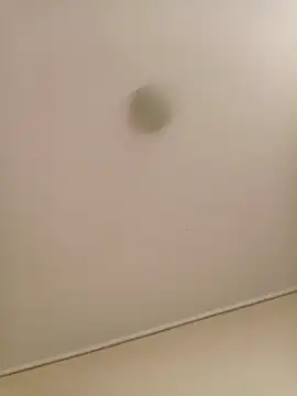 zafka 9 online show from April 17, 8:11 pm