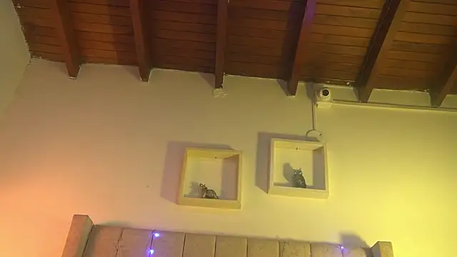 patty m online show from December 15, 12:00 pm