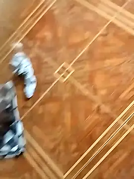 socrathes online show from February 26, 12:27 pm