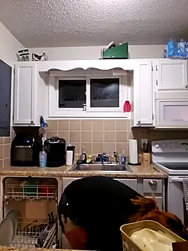 Dixiefaye Pika online show from February 27, 4:02 am