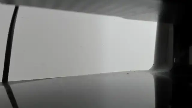 Alejandra Dunn online show from October 3, 1:23 pm