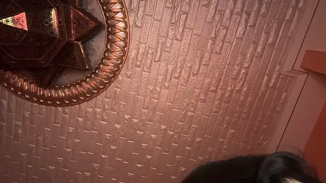 Snapshot of ORLA86 chatting on March 8, 10:56 pm ORLA86 online show from March 8, 10:56 pm