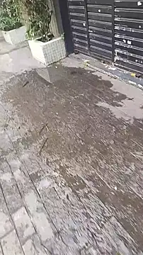 Snapshot of UncutToyBoy23cm chatting on March 13, 2:01 pm UncutToyBoy23cm online show from March 13, 2:01 pm