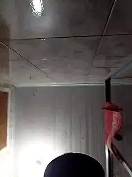 Adee21e online show from November 17, 8:46 pm