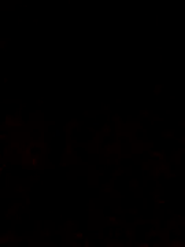 Snapshot of Adee21e chatting on October 12, 6:53 pm Adee21e online show from October 12, 6:53 pm