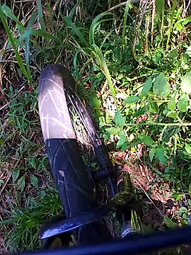 Adee21e online show from November 21, 4:39 pm