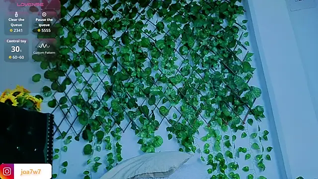 Levii Ackermann online show from January 17, 2:20 pm