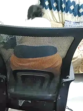 Adiba 2 online show from November 1, 6:24 pm