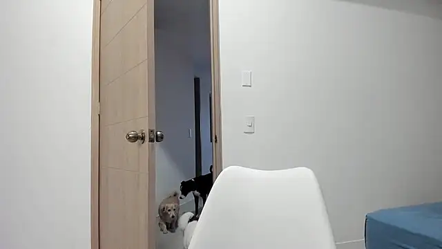 Vera Fernandez online show from November 12, 10:46 pm