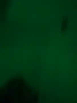 greedybratt online show from December 23, 5:39 am