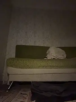 MissDasha online show from March 7, 5:40 pm