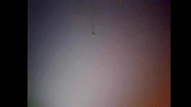 Pegg-fist-me online show from November 28, 12:00 am