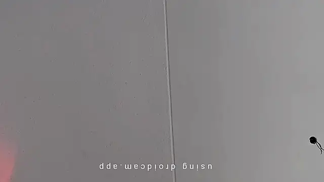 Pegg-fist-me online show from March 10, 8:51 am