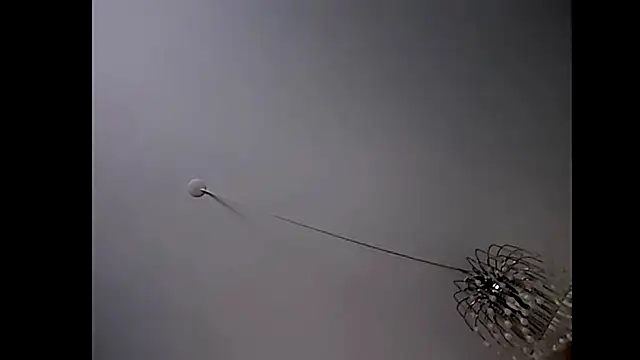 Pegg-fist-me online show from October 29, 1:48 am