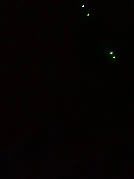 ClatteryPrexy online show from March 15, 6:03 am