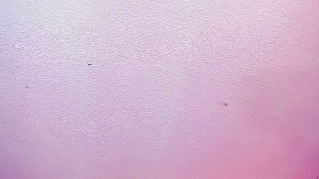 Red lady online show from April 8, 4:03 am