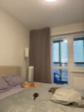 NewLale online show from November 30, 2:56 am