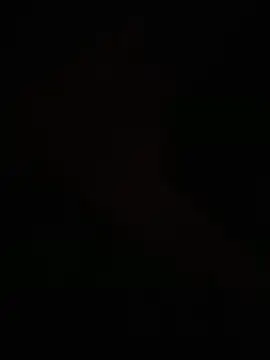 egyptman220 online show from March 8, 7:55 am