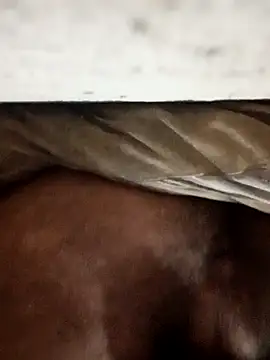 carlos40404 online show from October 30, 4:00 am