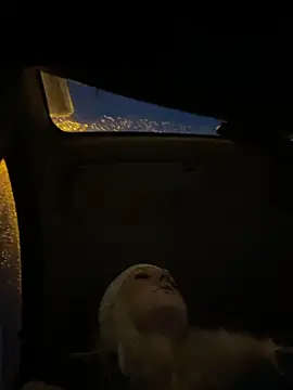 MerlinDave online show from November 8, 12:58 am