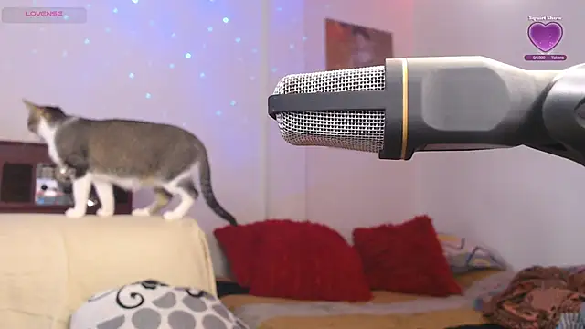 Snapshot of Marci_owo chatting on September 27, 8:15 pm Marci owo online show from September 27, 8:15 pm