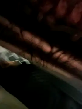 SahilBBC-0 online show from February 10, 6:29 pm