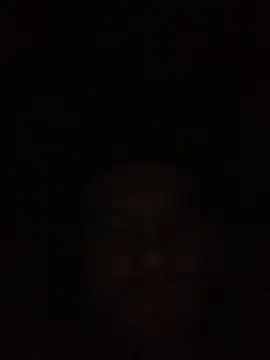 Boysex227 online show from November 17, 3:27 pm