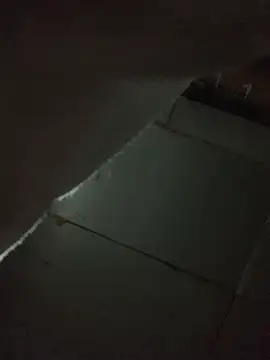 Boysex227 online show from December 5, 2:37 pm