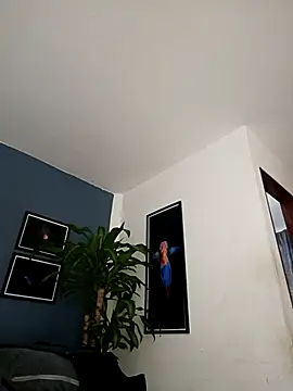 SilvaBranko online show from December 18, 12:05 am