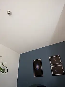 SilvaBranko online show from October 27, 11:05 pm