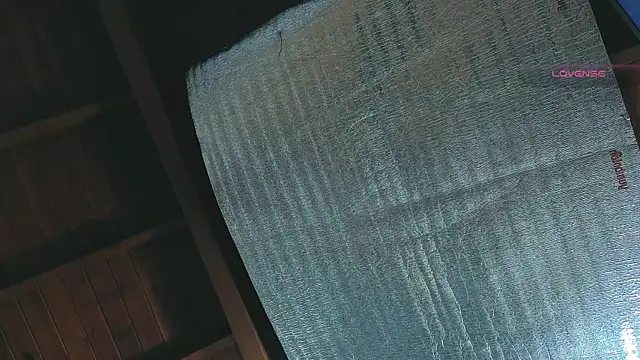 SilvaBranko online show from April 13, 1:09 am