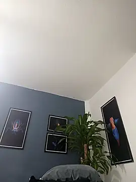 SilvaBranko online show from December 19, 2:04 am