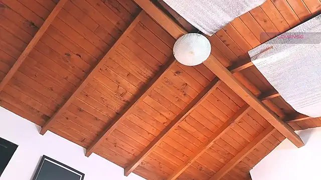 SilvaBranko online show from March 14, 8:04 pm